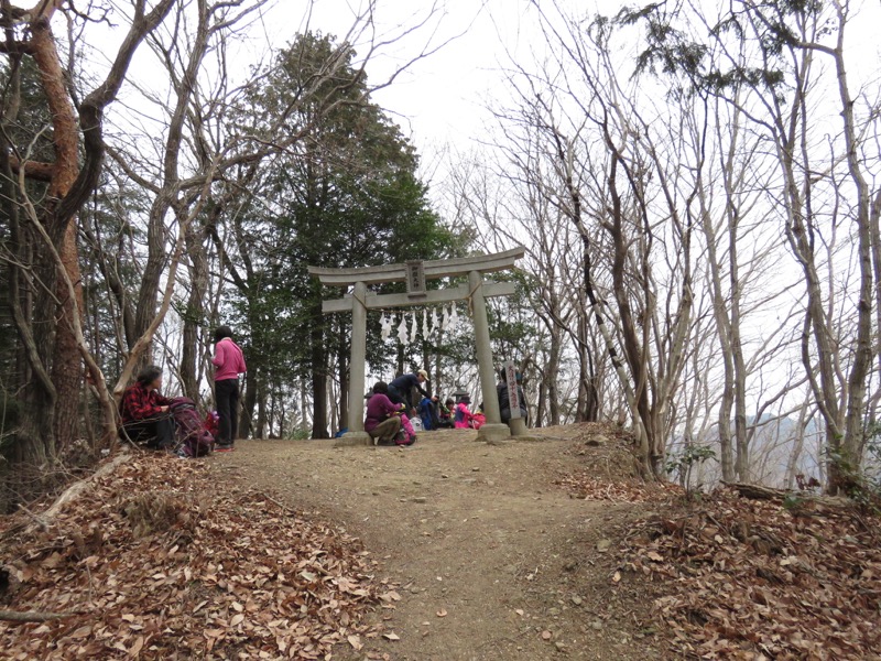 長瀞アルプス、宝登山登山