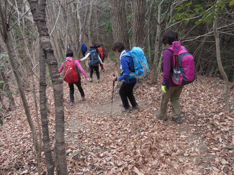 長瀞アルプス、宝登山登山