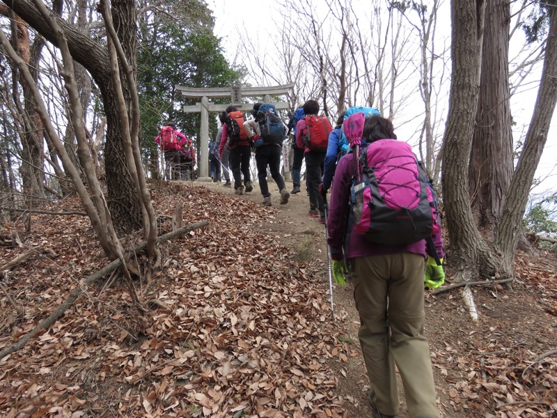 長瀞アルプス、宝登山登山