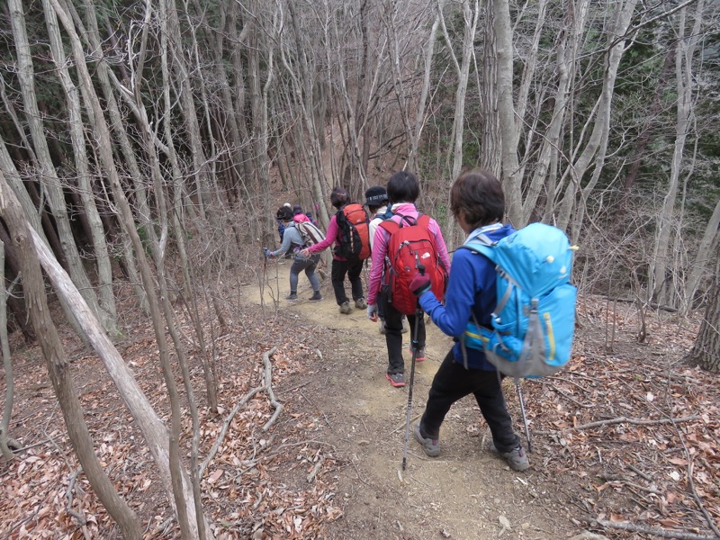 長瀞アルプス、宝登山登山