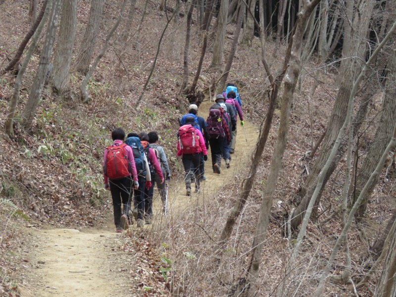 長瀞アルプス、宝登山登山