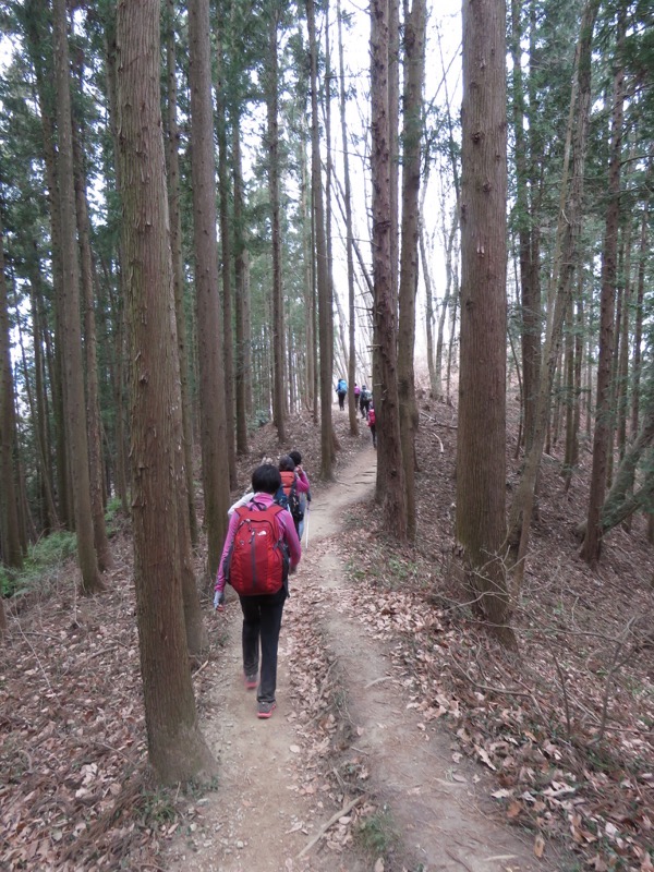 長瀞アルプス、宝登山登山