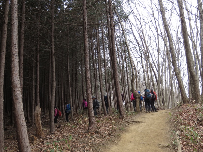 長瀞アルプス、宝登山登山