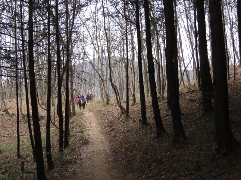 長瀞アルプス、宝登山登山