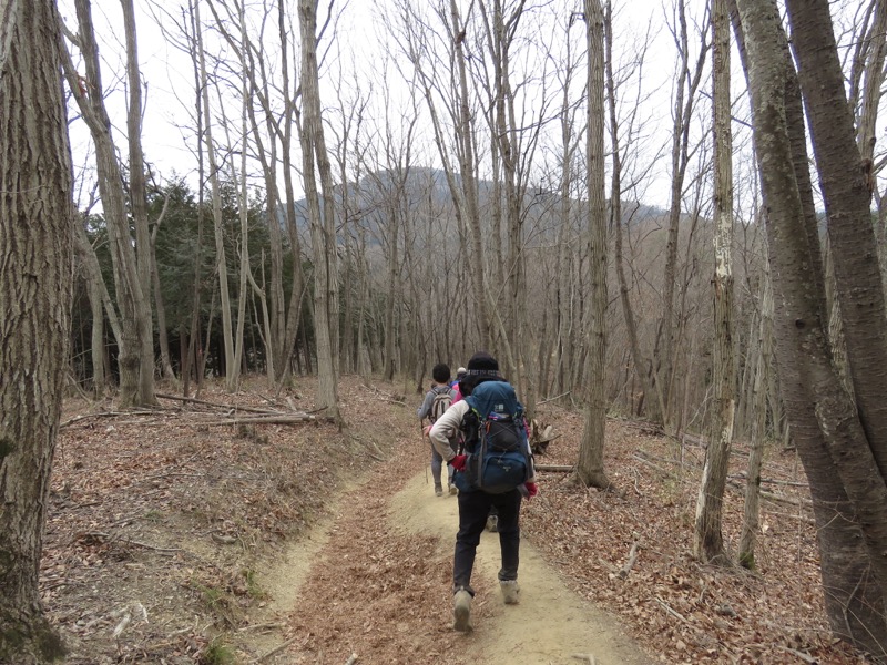 長瀞アルプス、宝登山登山