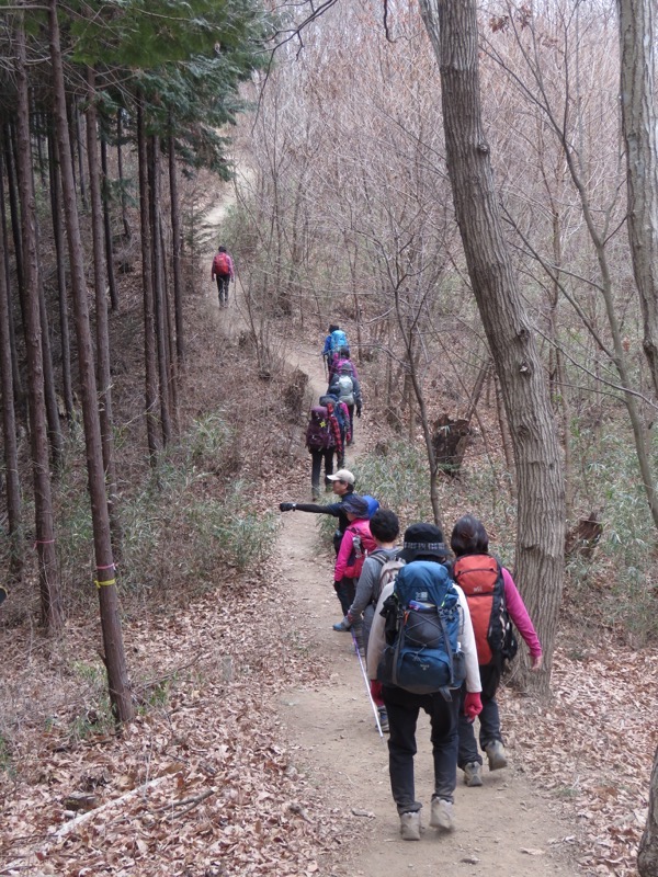 長瀞アルプス、宝登山登山