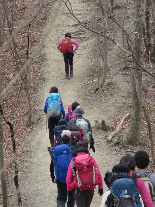 長瀞アルプス、宝登山登山