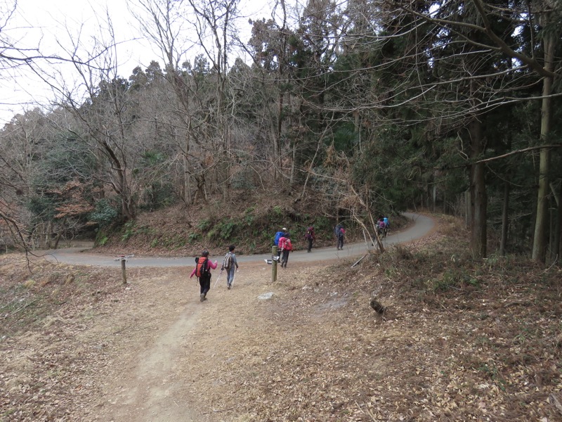 長瀞アルプス、宝登山登山