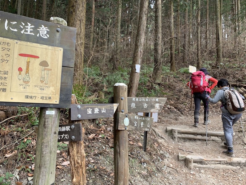 長瀞アルプス、宝登山登山