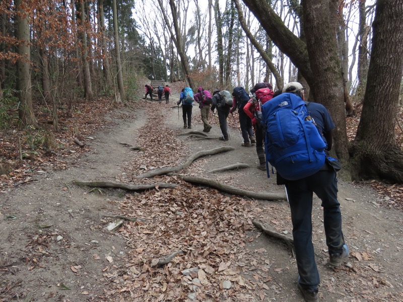 長瀞アルプス、宝登山登山