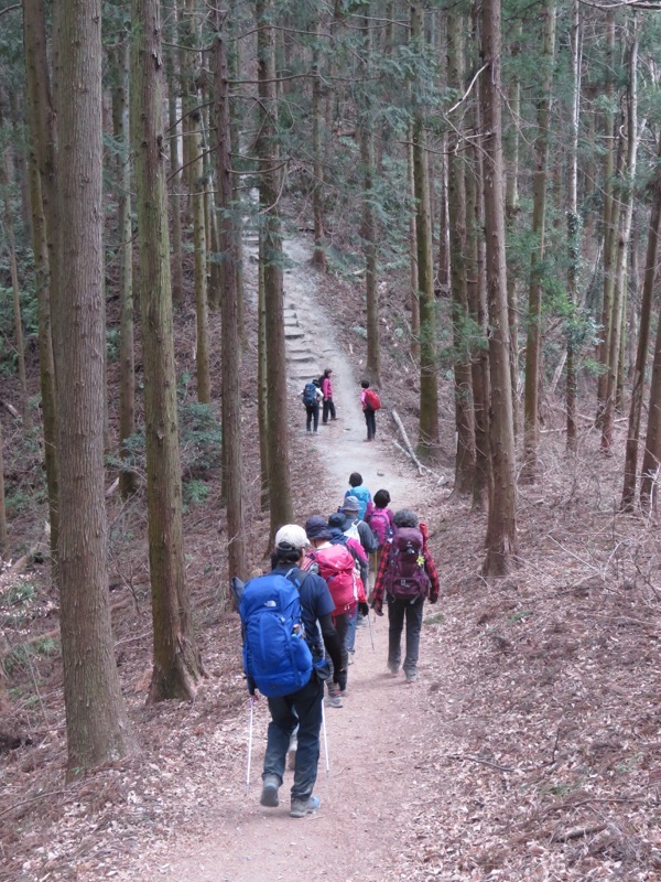 長瀞アルプス、宝登山登山