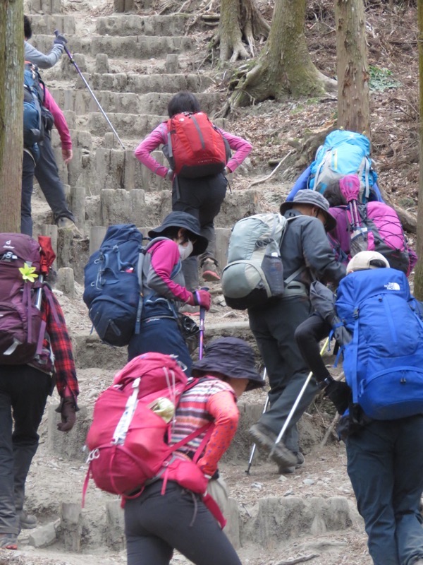 長瀞アルプス、宝登山登山