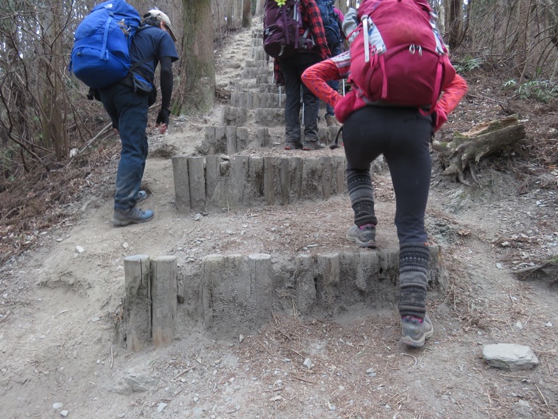 長瀞アルプス、宝登山登山