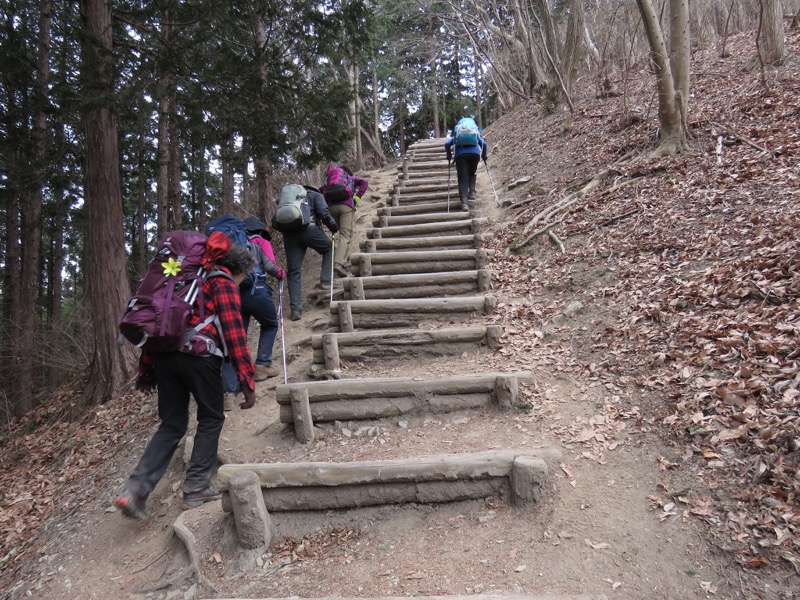 長瀞アルプス、宝登山登山