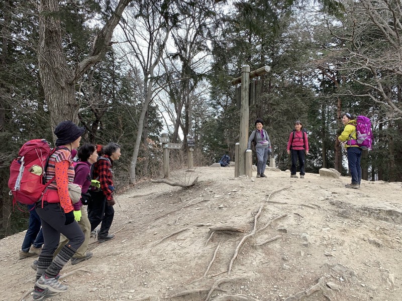 長瀞アルプス、宝登山登山