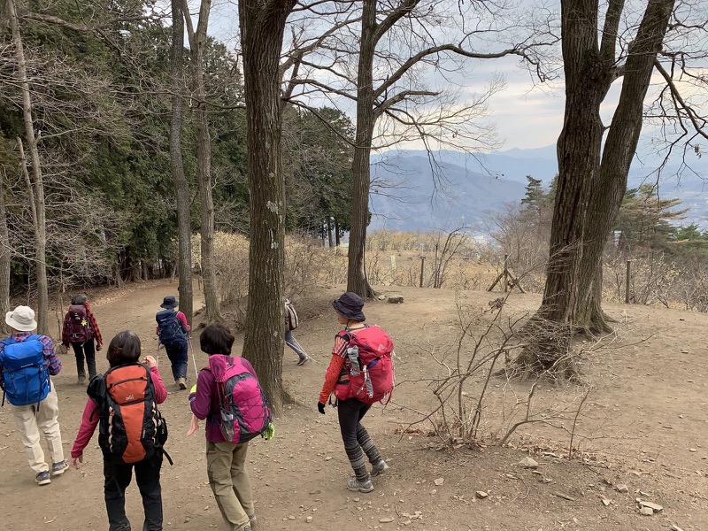 長瀞アルプス、宝登山登山