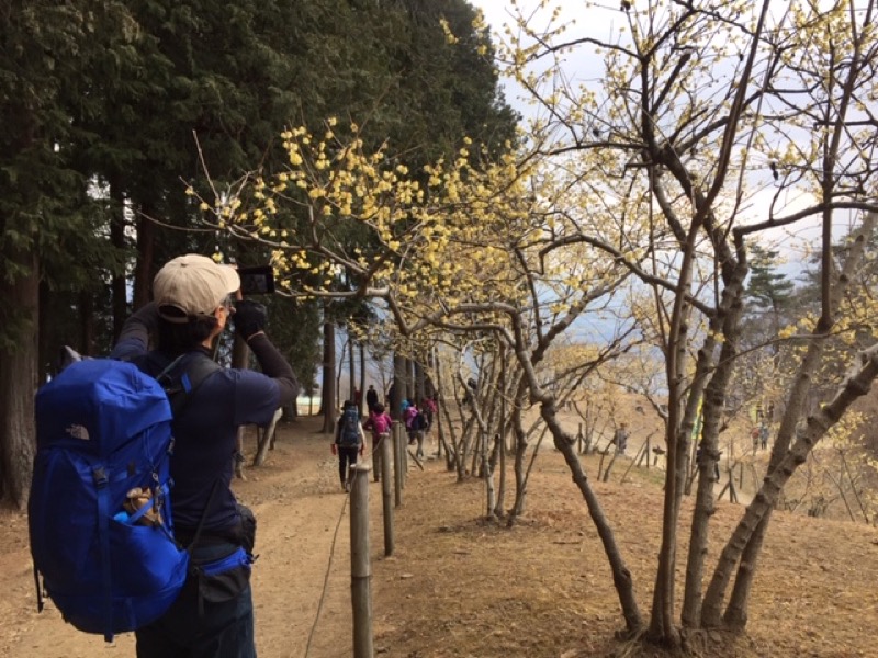 長瀞アルプス、宝登山登山