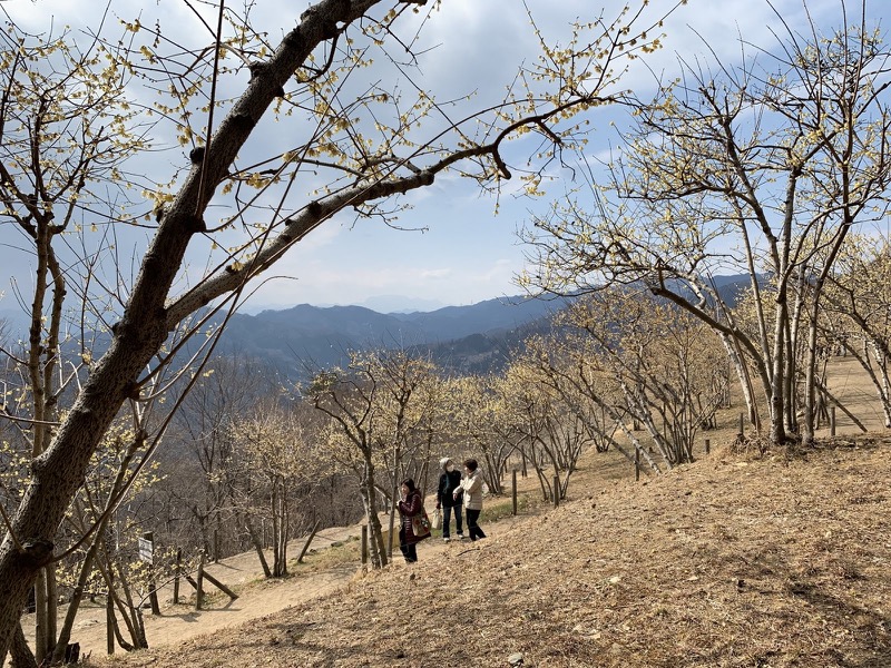 長瀞アルプス、宝登山登山