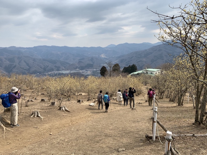 長瀞アルプス、宝登山登山