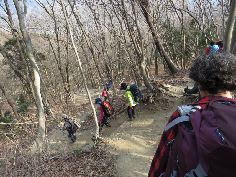 長瀞アルプス、宝登山登山