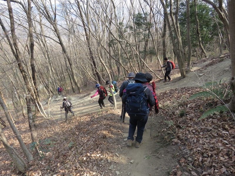 長瀞アルプス、宝登山登山