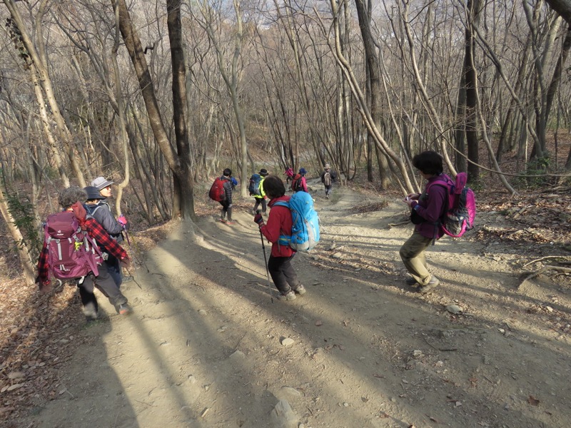 長瀞アルプス、宝登山登山