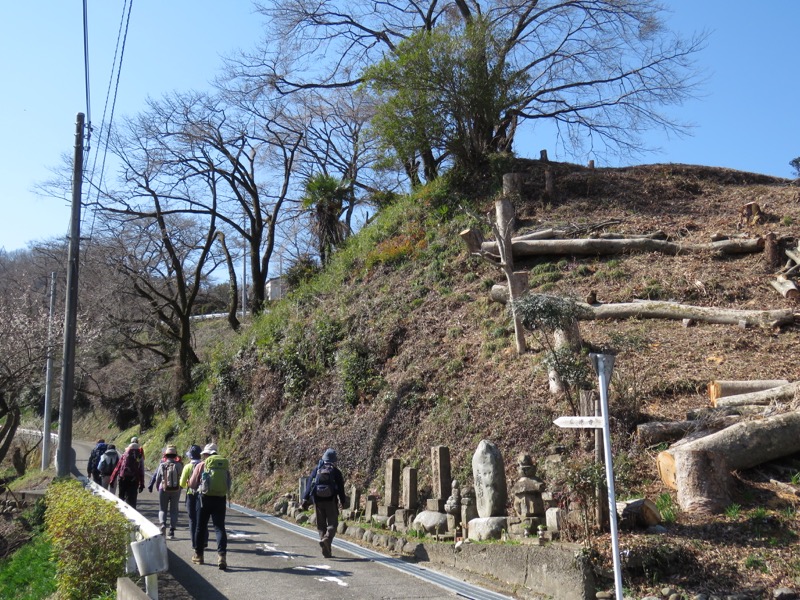 網代城山