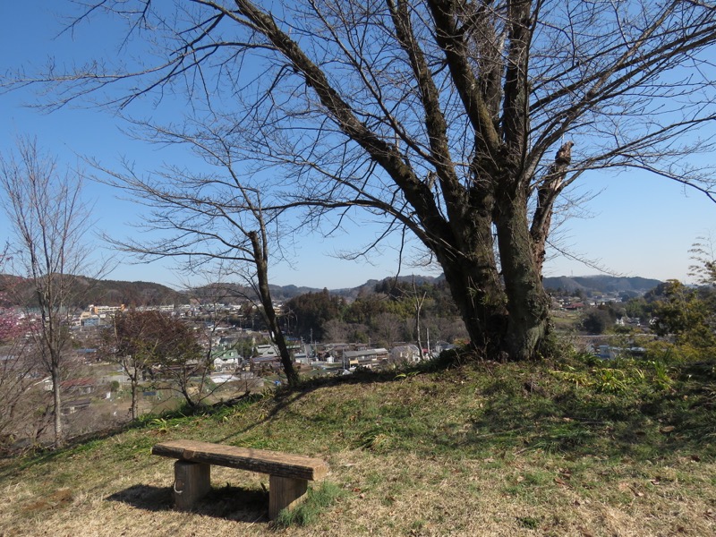 網代城山