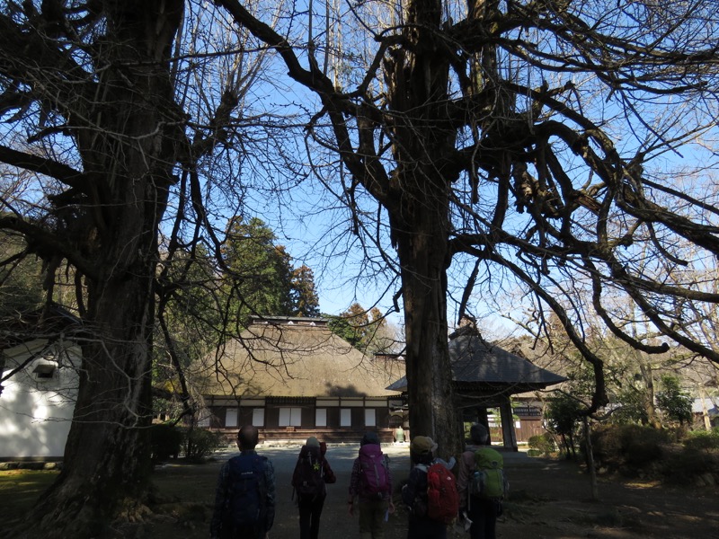 網代城山