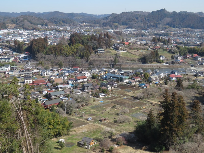 網代城山