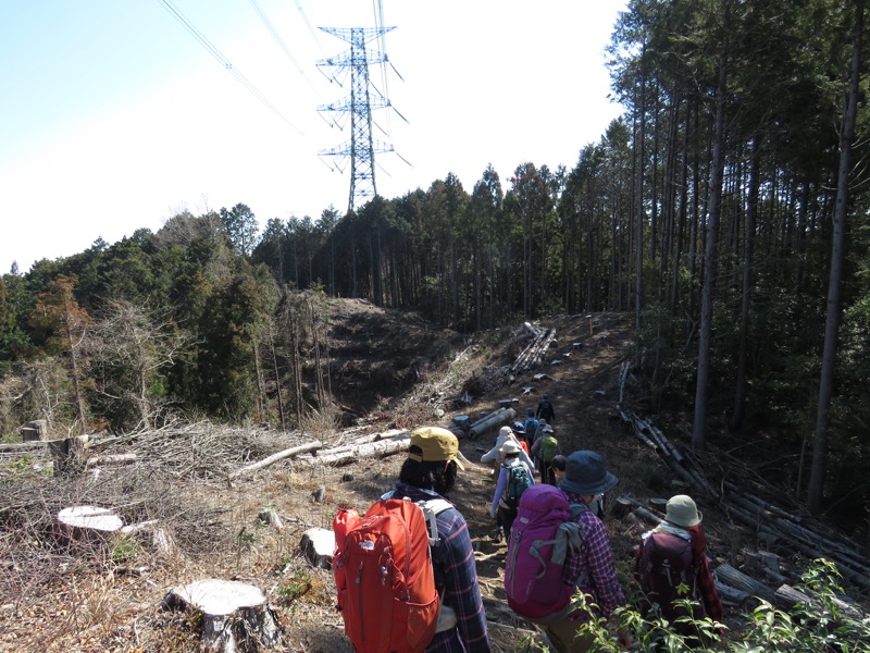 網代城山