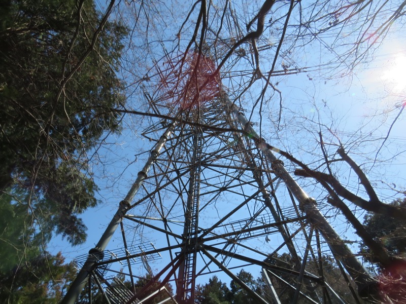 網代城山