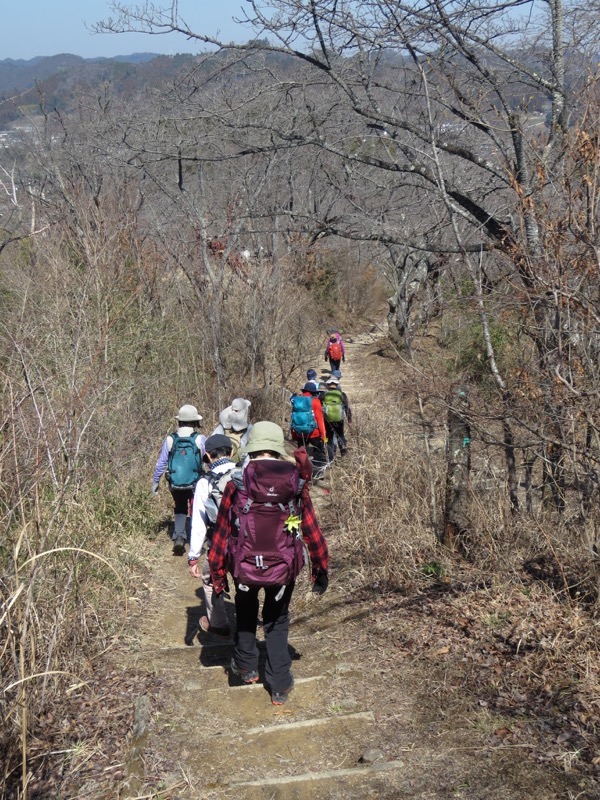 網代城山