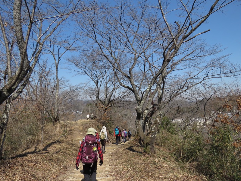 網代城山