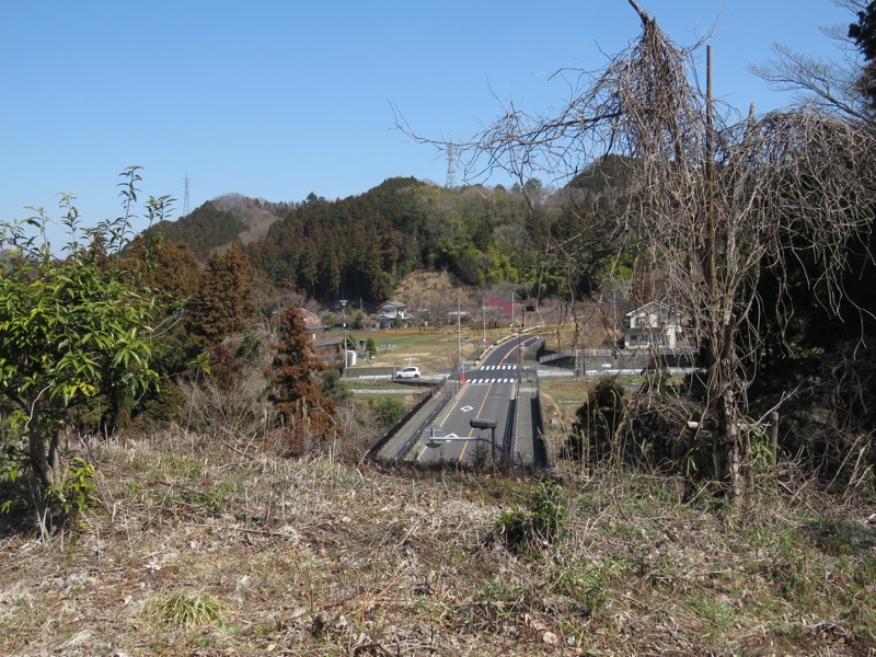 網代城山