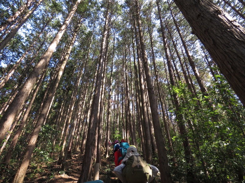 網代城山