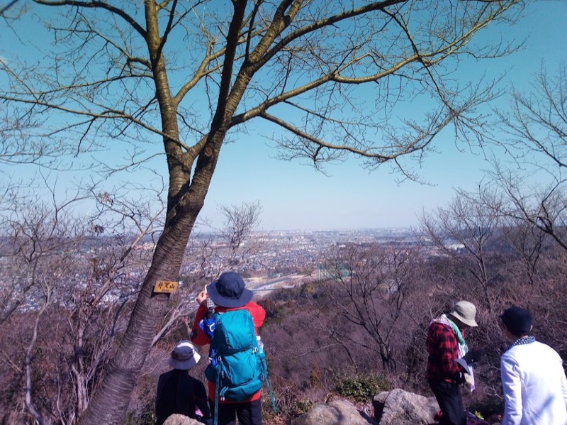 網代城山