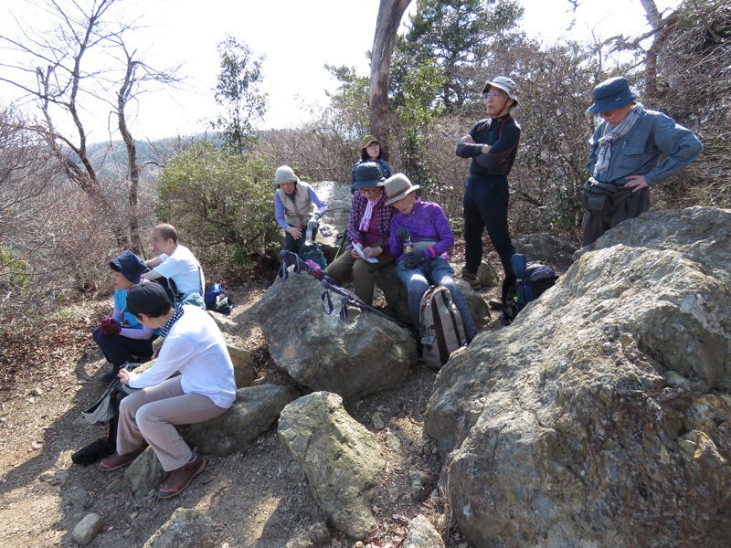 網代城山