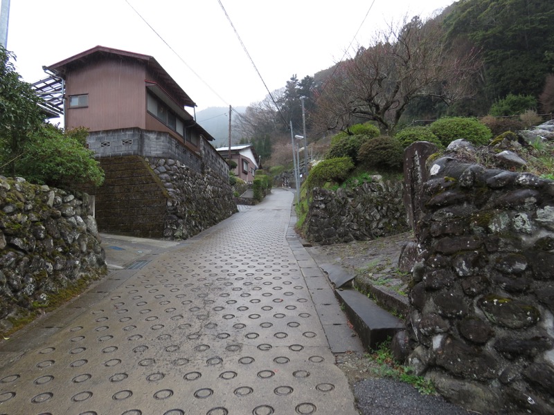 大山・三峰山登山