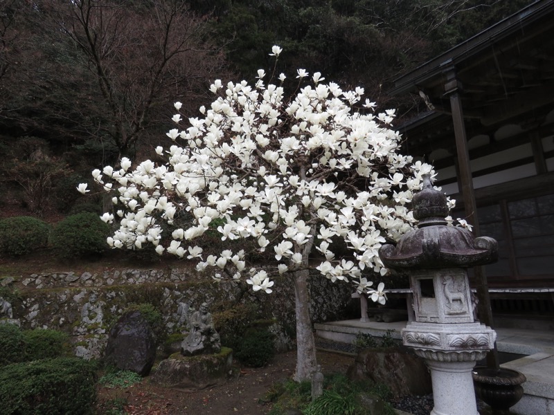大山・三峰山登山