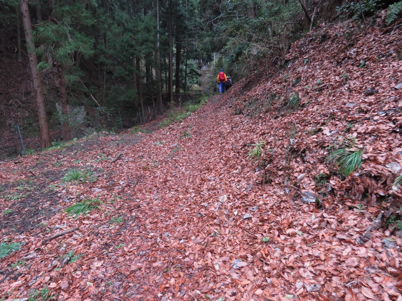 大山・三峰山登山