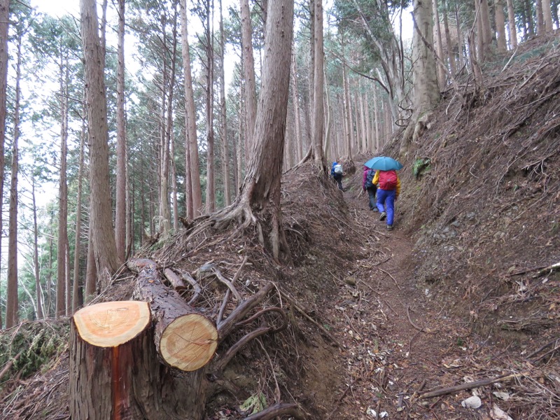 大山・三峰山登山