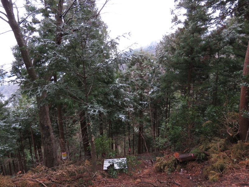 大山・三峰山登山