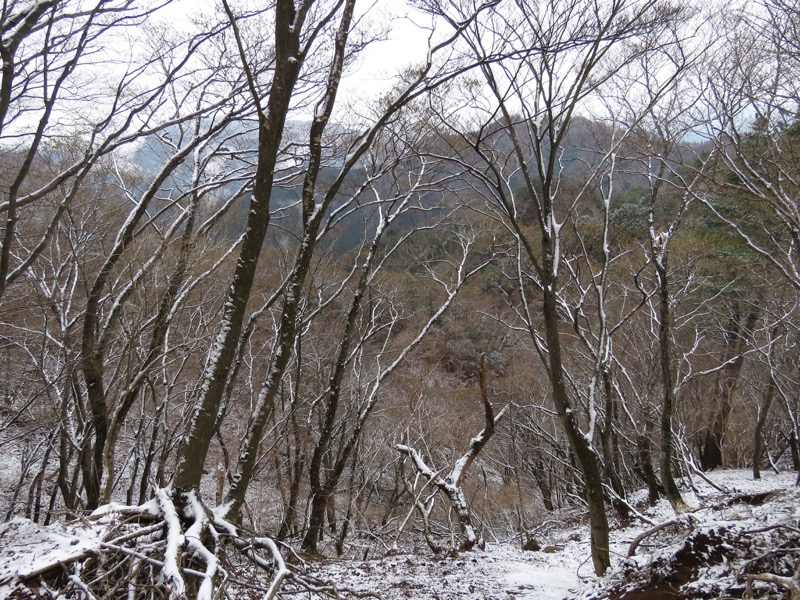 大山・三峰山登山