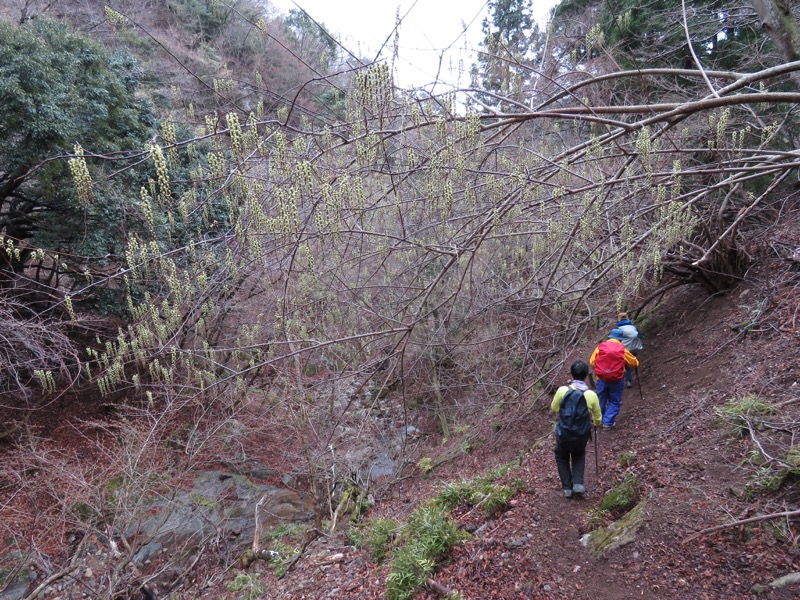 大山・三峰山登山