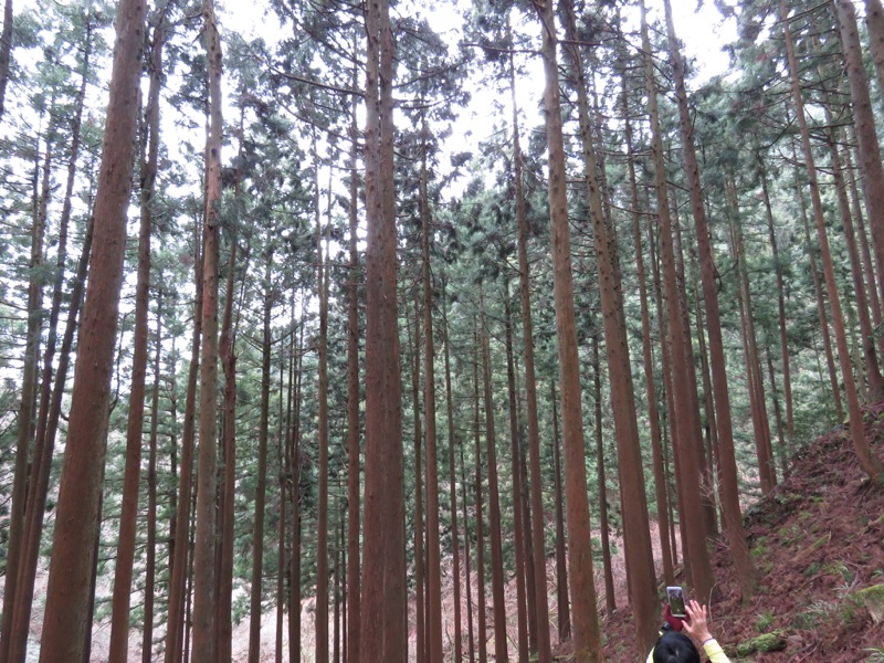 大山・三峰山登山