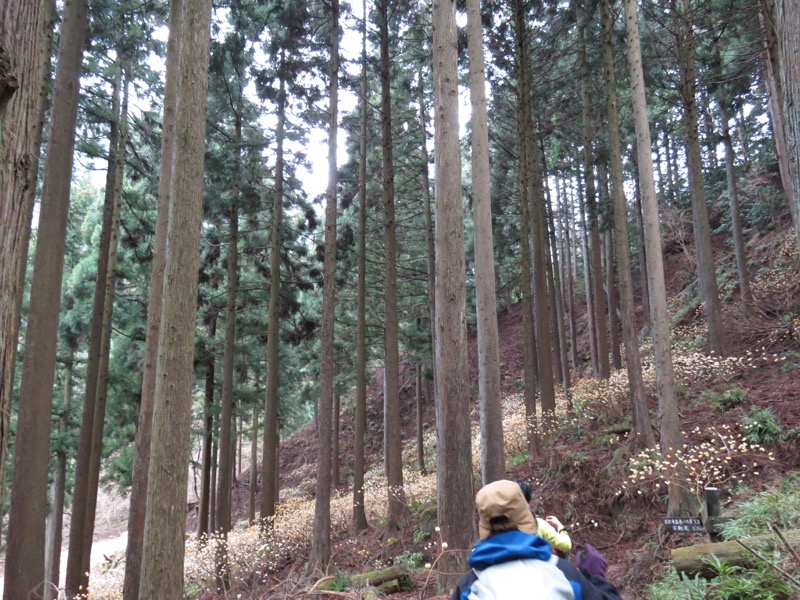 大山・三峰山登山