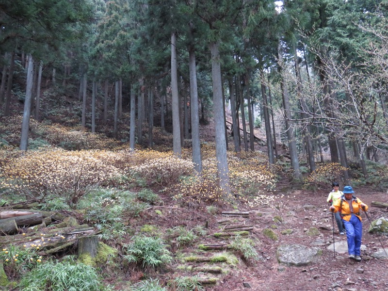 大山・三峰山登山