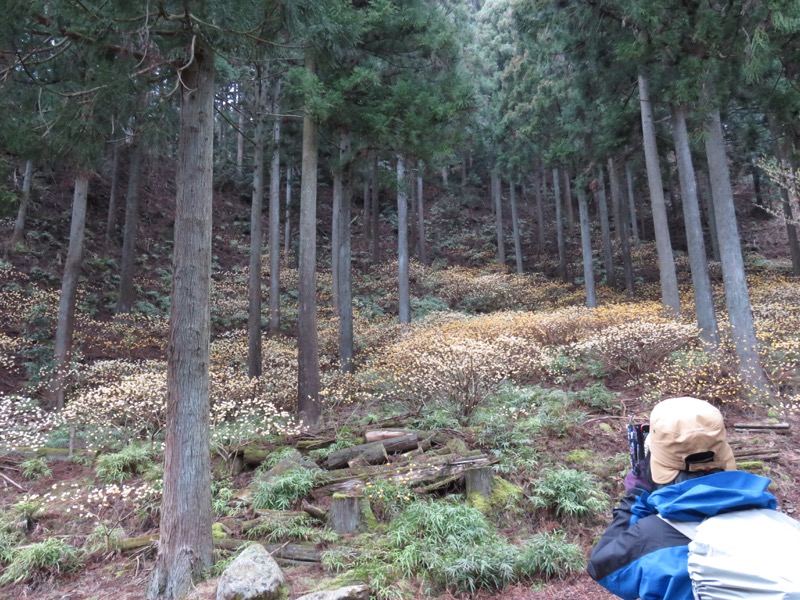 大山・三峰山登山