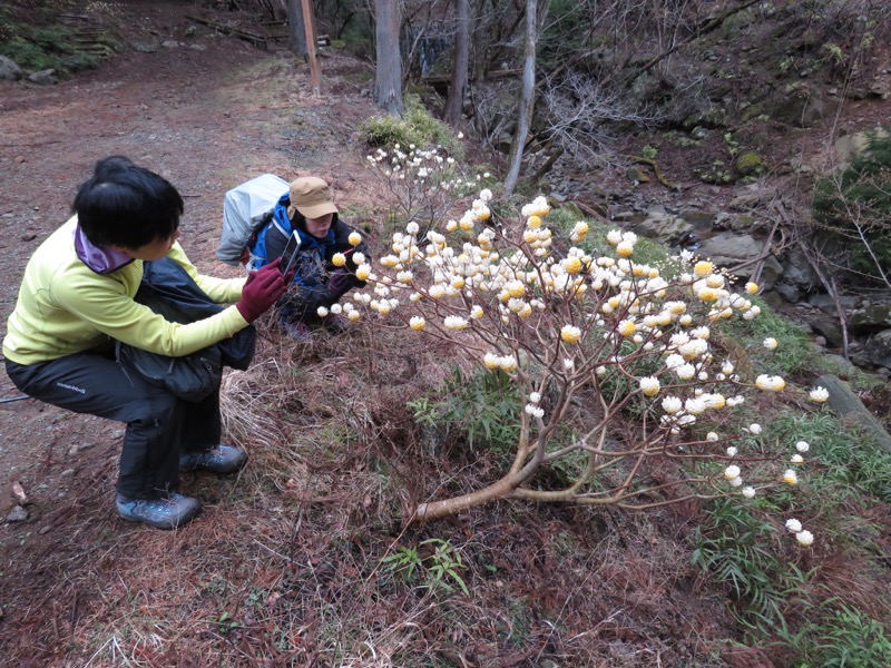 大山・三峰山登山